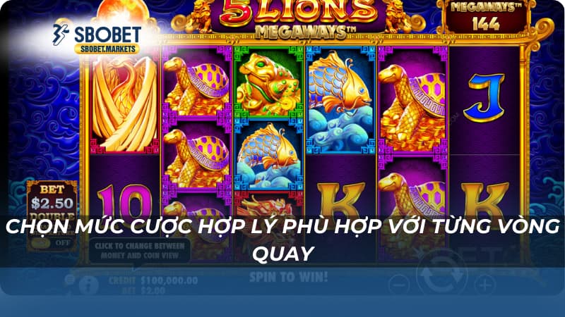 Chọn mức cược hợp lý phù hợp với từng vòng quay