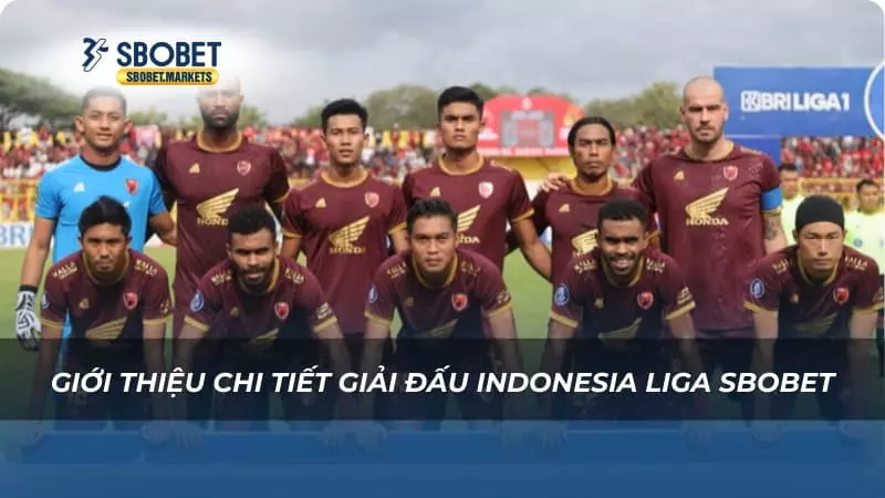Giới thiệu chi tiết giải đấu Indonesia Liga Sbobet-1