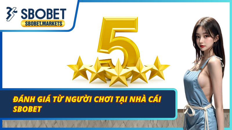 Phản hồi của thành viên sau khi trải nghiệm dịch vụ giải trí SBOBET