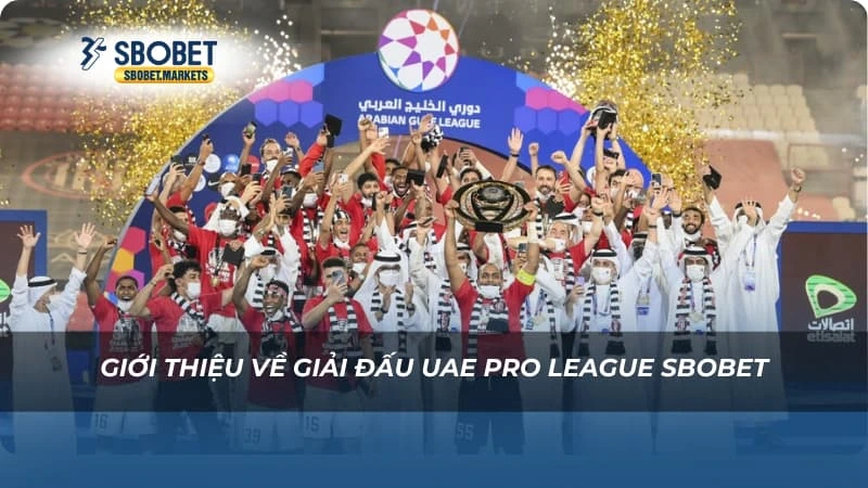 Giới thiệu về giải đấu UAE Pro League Sbobet