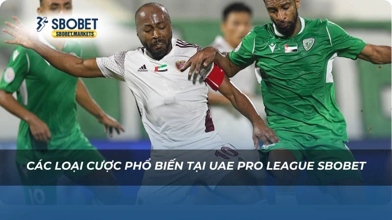 Các loại cược phổ biến tại UAE Pro League Sbobet