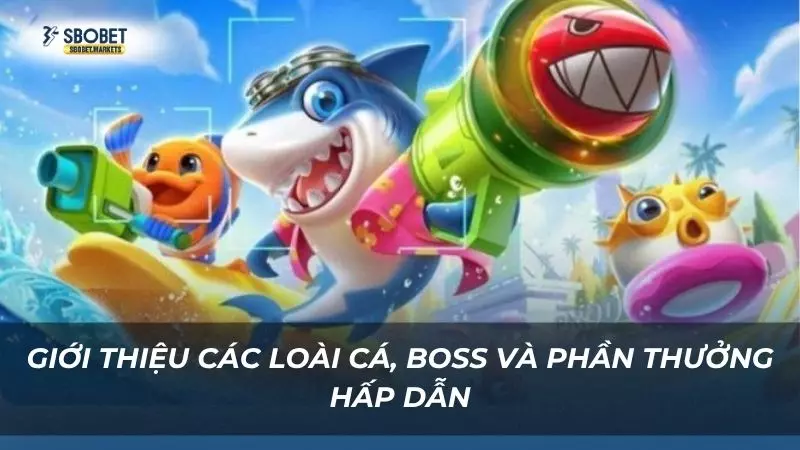 Điểm qua các loài cá và vô vàn phần thưởng thú vị