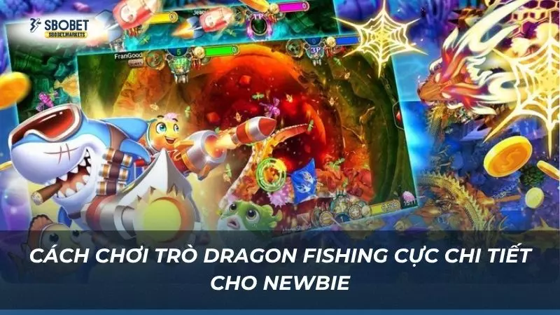 Bật mí cách chơi săn cá chuẩn xác cho người mới