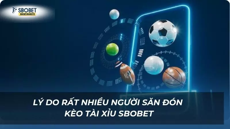 Lý do rất nhiều người thích săn đón kèo cược tài xỉu