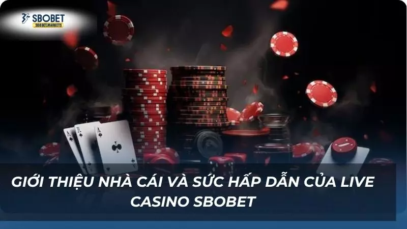 Cái nhìn tổng quan về nhà cái đầy uy tín với sân chơi đẳng cấp