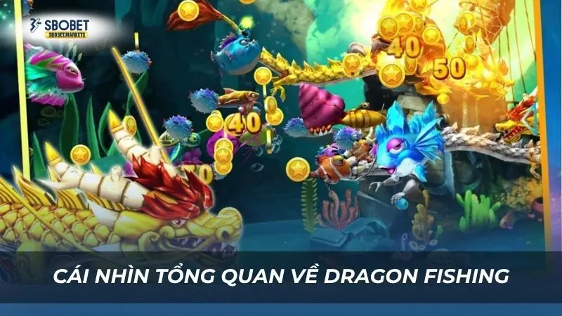 Sơ lược thông tin về trò chơi săn cá hot top đầu