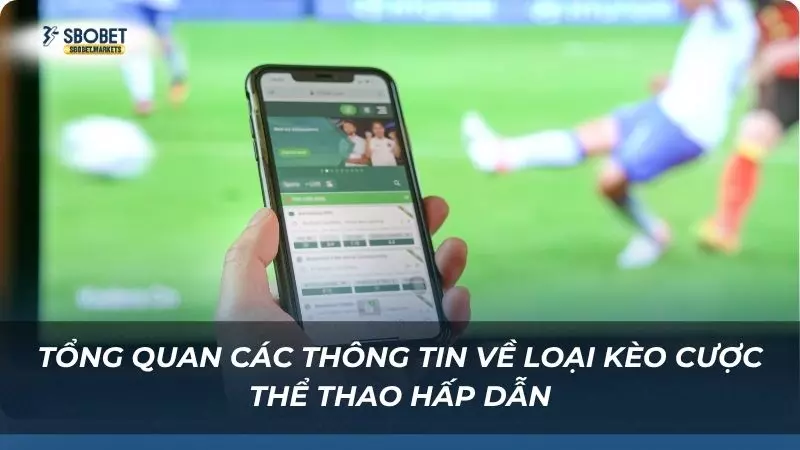 Tổng quan các thông tin về loại kèo cược thể thao hấp dẫn